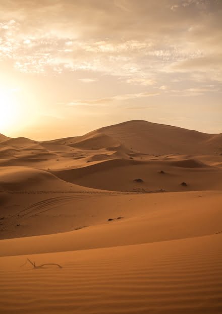 Sahara desert