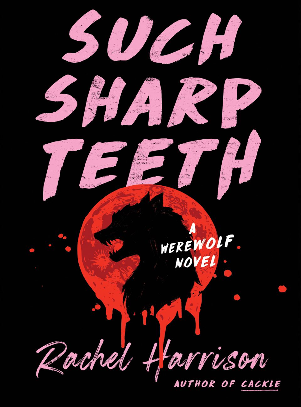 Such Sharp Teeth by Rachel Harrison
